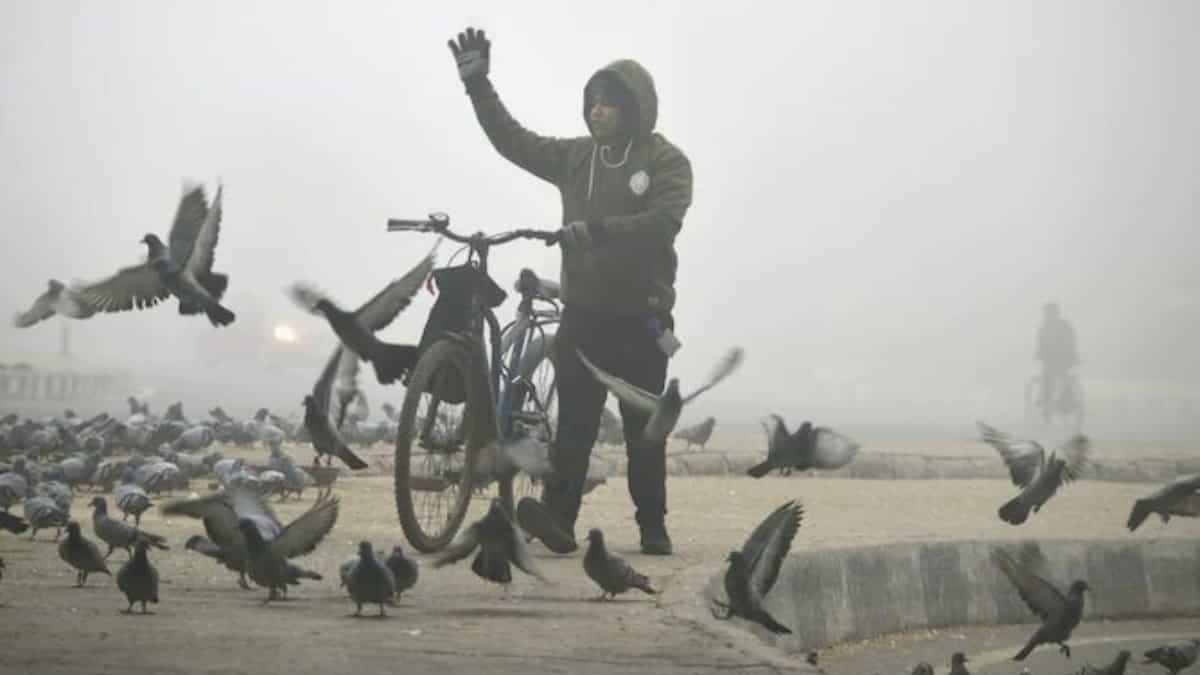 Schools to remain closed due to extreme winters; check full list of