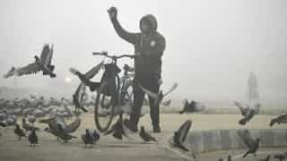 Schools to remain closed due to extreme winters; check full list of states that extended winter holidays