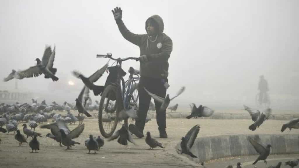 Schools to remain closed due to extreme winters; check full list of states that extended winter holidays