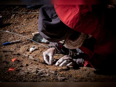 Chile: Scientists exhume megaraptors, feathered dinosaur fossils in Patagonia