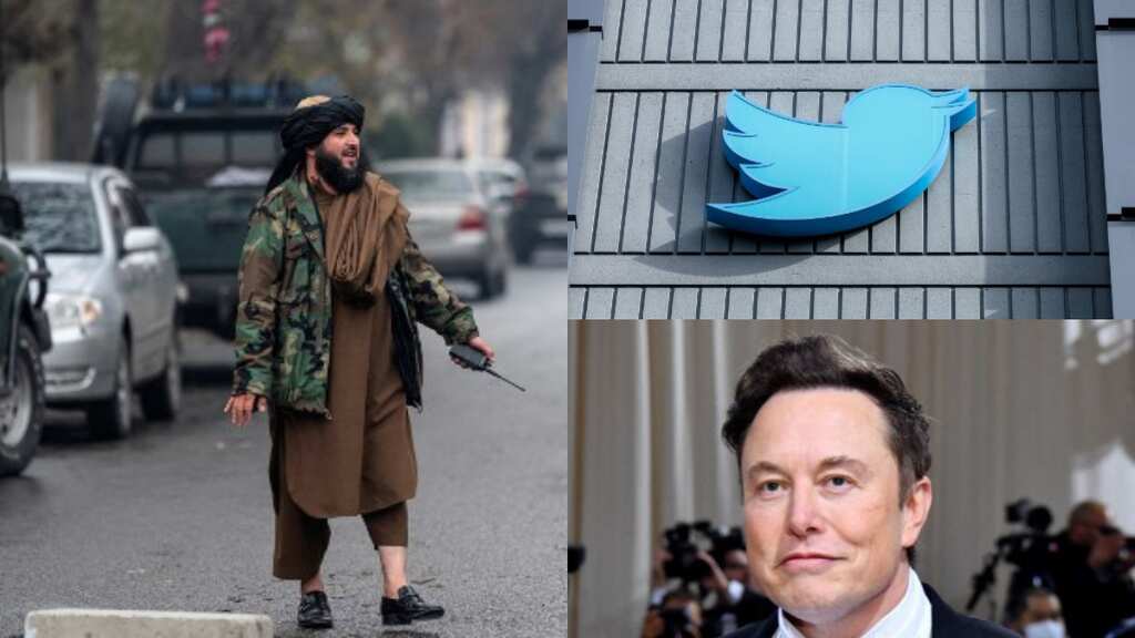 Elon Musk's Twitter removes paid verification feature of Taliban after outrage