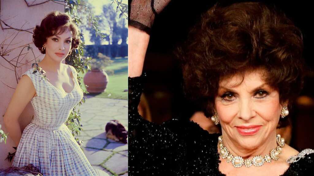 Who was Gina Lollobrigida? Italian actress, photojournalist and a politician; know about her eventful life
