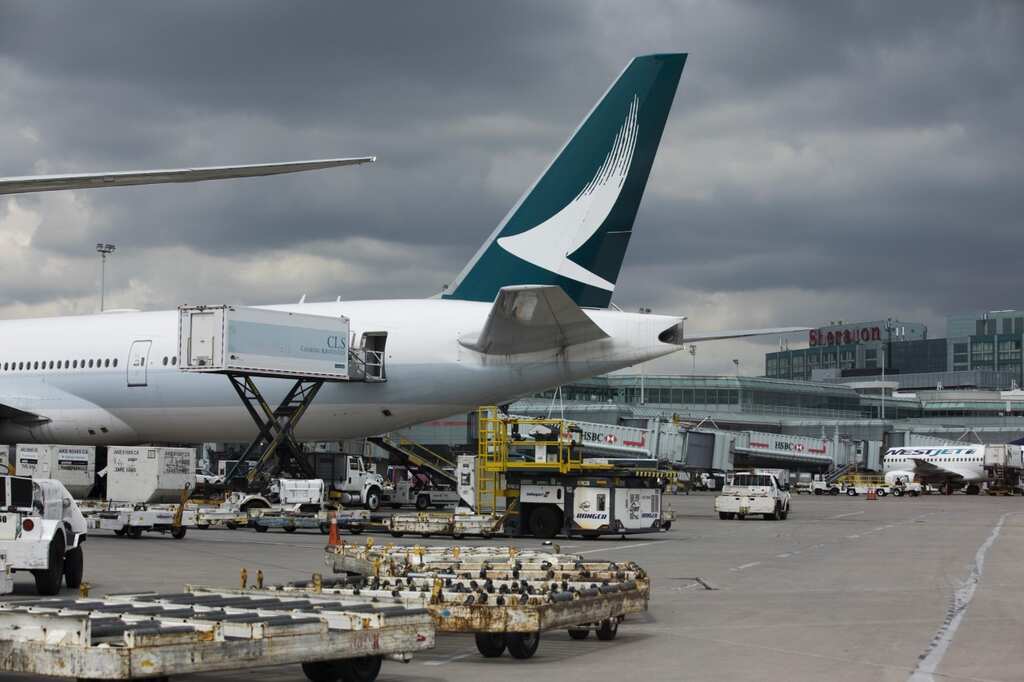 Gravitas: Cathay Pacific's flight attendants troubled by working conditions