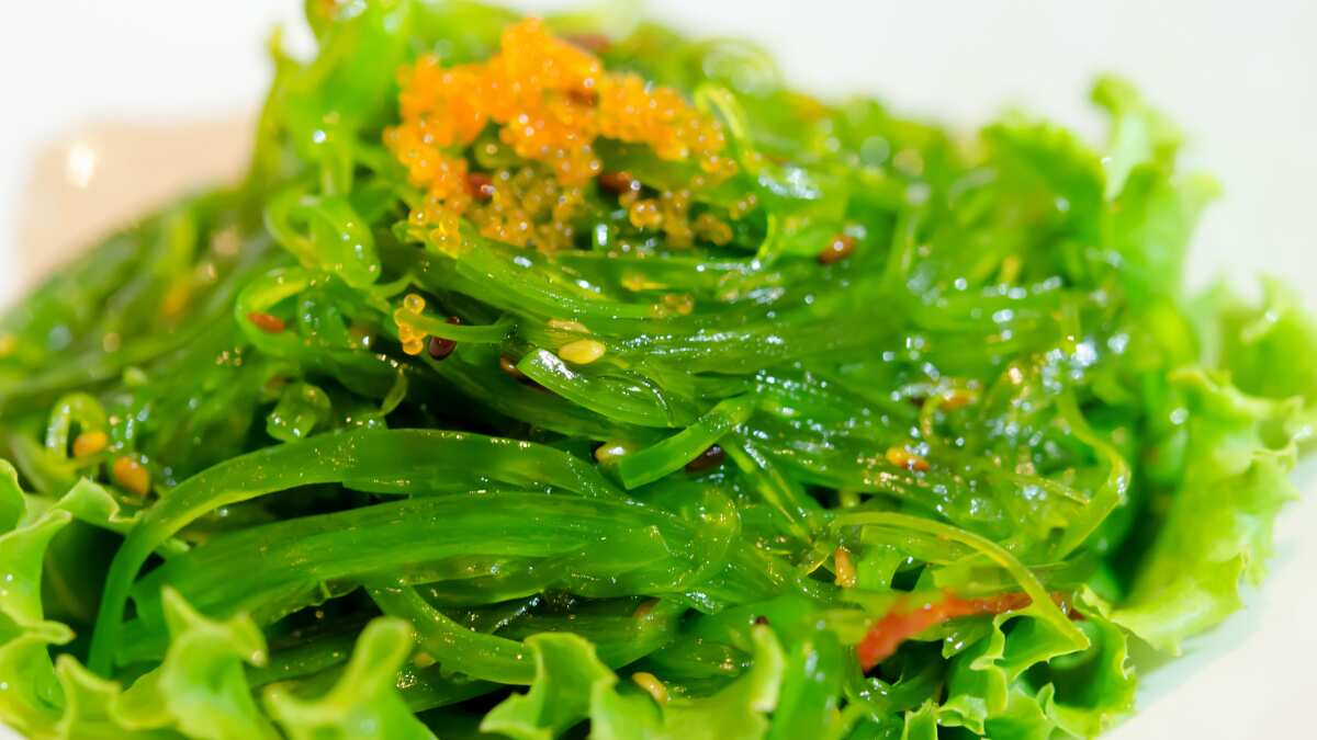 Seaweed