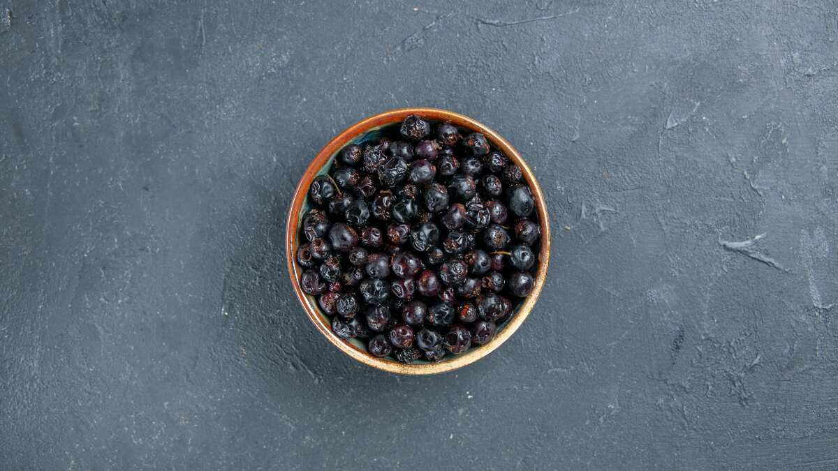 Black elderberry