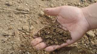 IS IT SAFE? Can human faeces be used to produce fertilisers for food crops? Here's what a study reveals