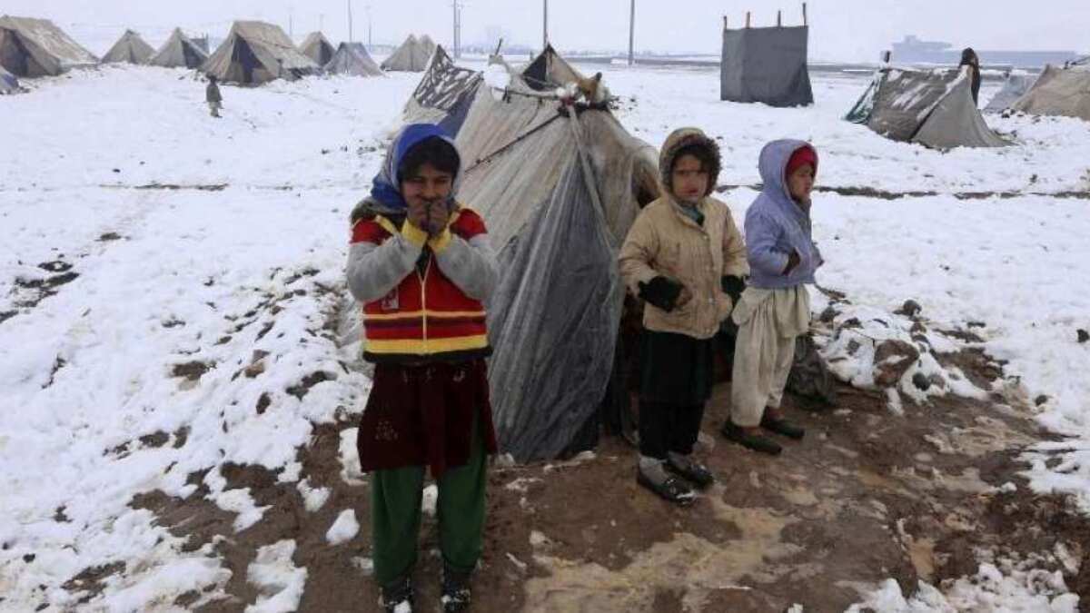 Afghanistan: 70 die from cold in freezing winter, 140 hospitalised for carbon monoxide poisoning Afghanistan: 70 die from cold in freezing winter, 140 hospitalised for carbon monoxide poisoning