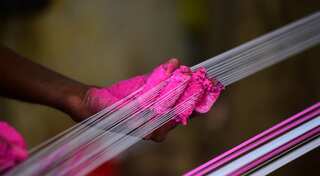India: Three children among 6 killed as glass-coated kite string slits throats during kite festival