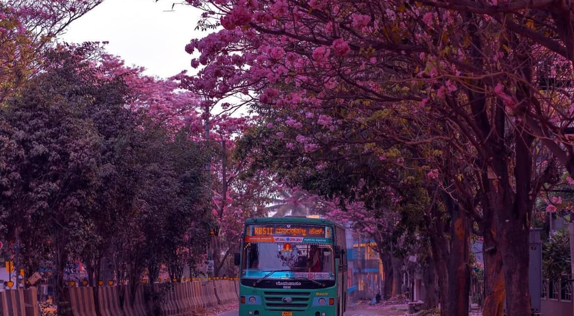 City is captured like a painting