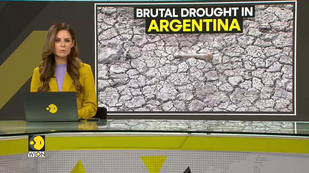 WION Climate Tracker: Argentina Soybean harvests threatened by persistent drought