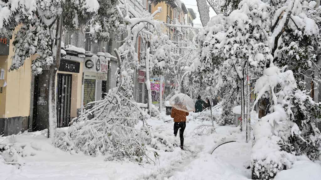 WION Climate Tracker: Heavy snow causes traffic disruptions in Spain