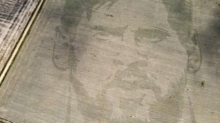 Argentine farmer plants Messi's face in cornfield as tribute for the World Cup triumph