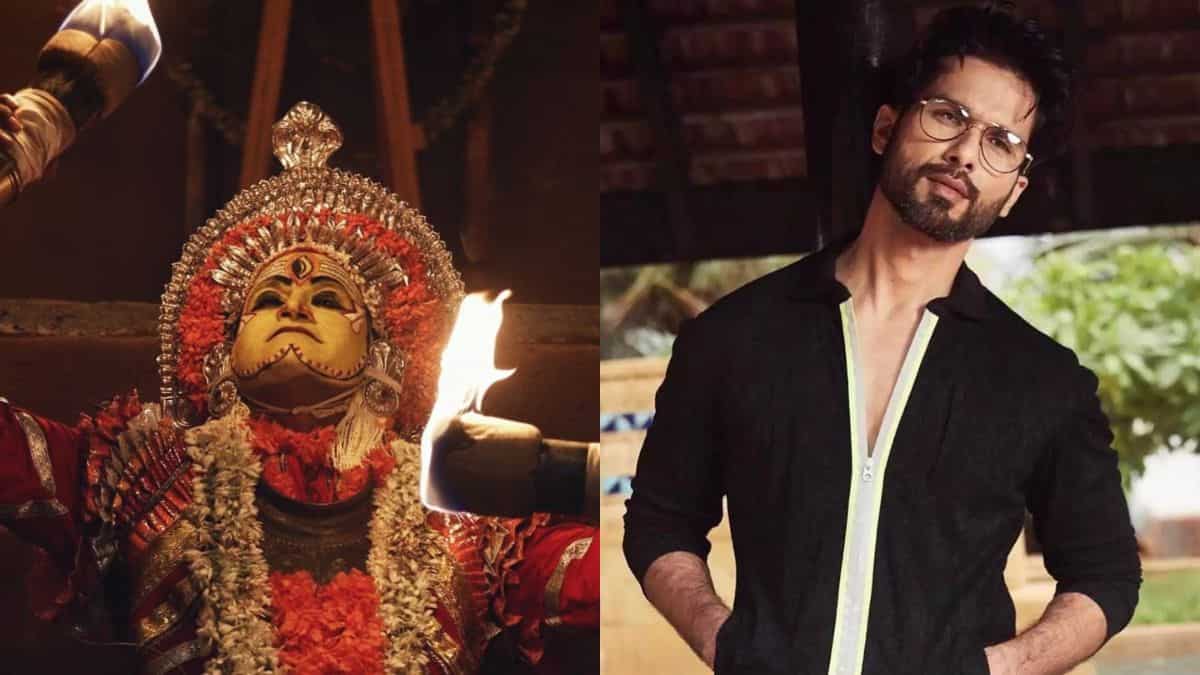 Shahid Kapoor on Kantara's success: Good content will always work