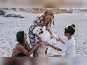 National Pet Day 2023: Best pet-friendly travel destinations you must visit with your furry friends