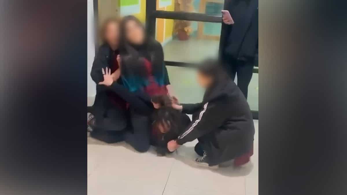 Lahore school girls, seen bullying in viral video, granted bail