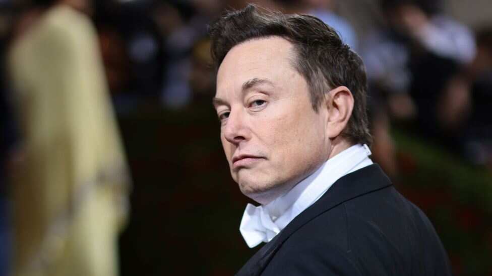 Elon Musk reveals next Twitter update, says higher priced Twitter subscription won't carry Ads