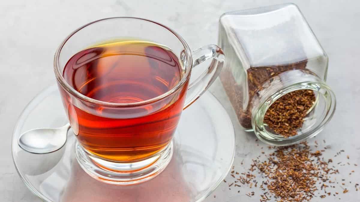 Rooibos tea