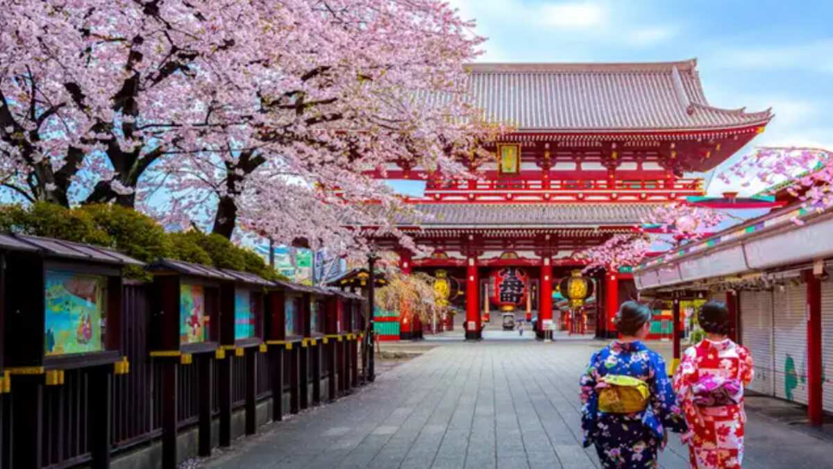Traditional Tokyo to leave you in AWE !