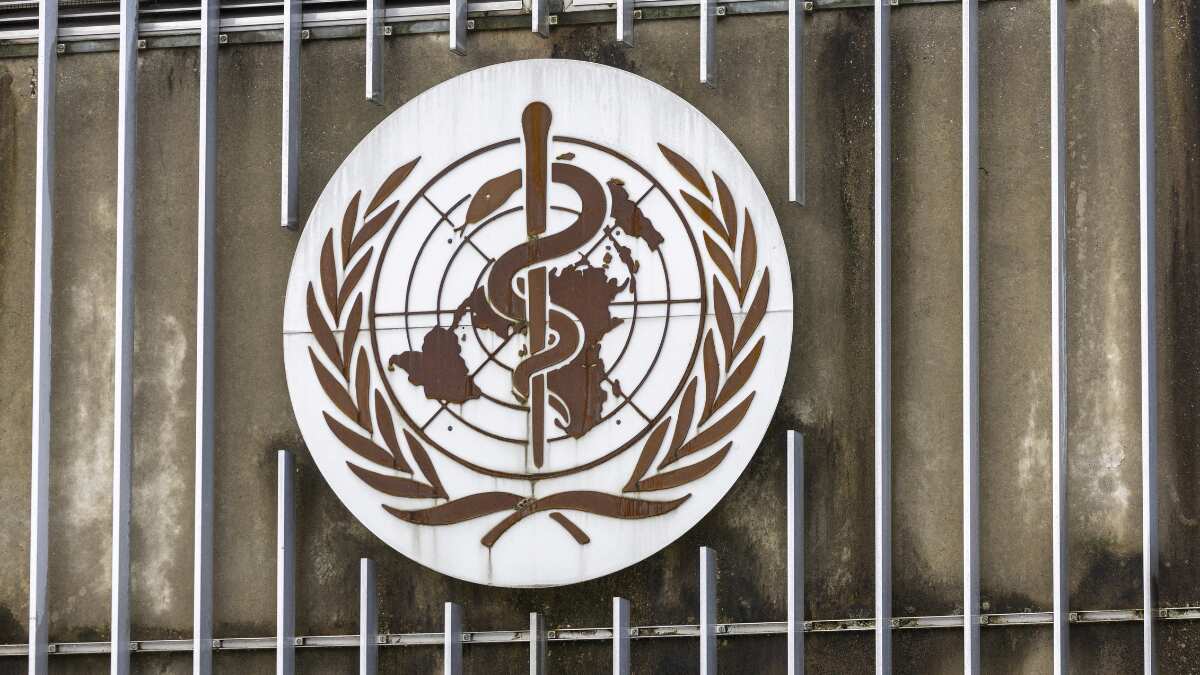 WHO calls for immediate, concerted actions on contaminated medicines linked to over 300 kids' deaths WHO calls for immediate, concerted actions on contaminated medicines linked to over 300 kids' deaths