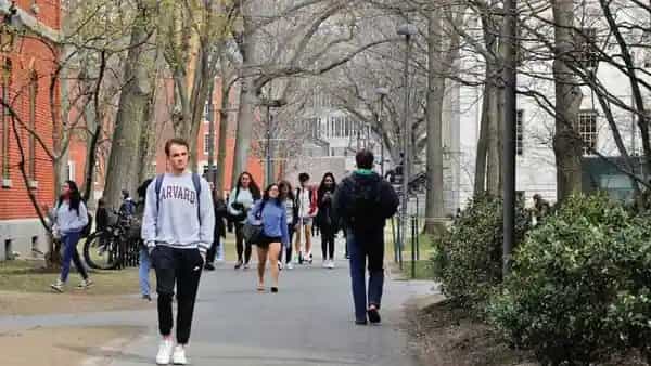 IITs, Indian academia can offer open-source online education to G20 emerging nations, say experts IITs, Indian academia can offer open-source online education to G20 emerging nations, say experts