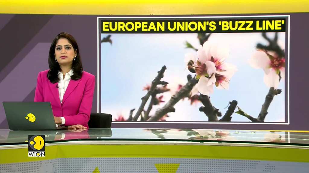 WION Climate Tracker: European Union aims to save endangered bees by 2030