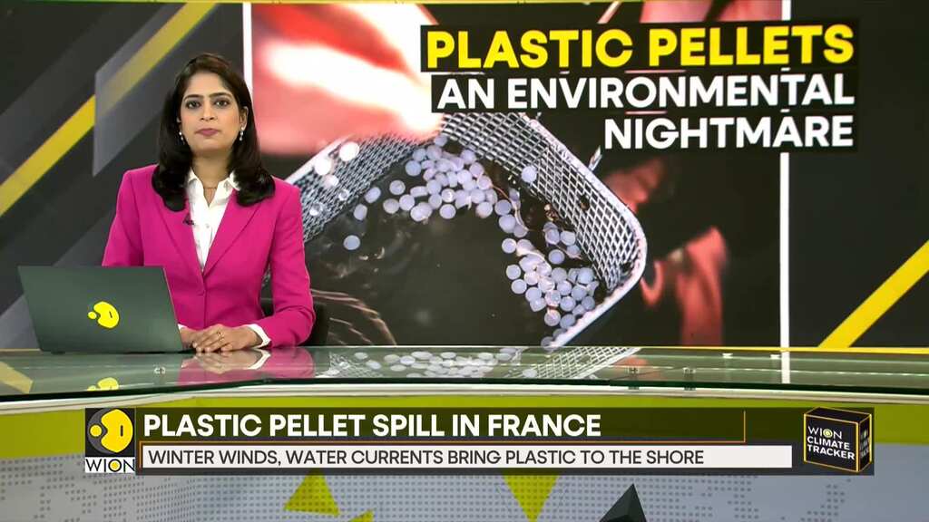 WION Climate Tracker: France to initiate legal action against offenders of plastic pellet spell