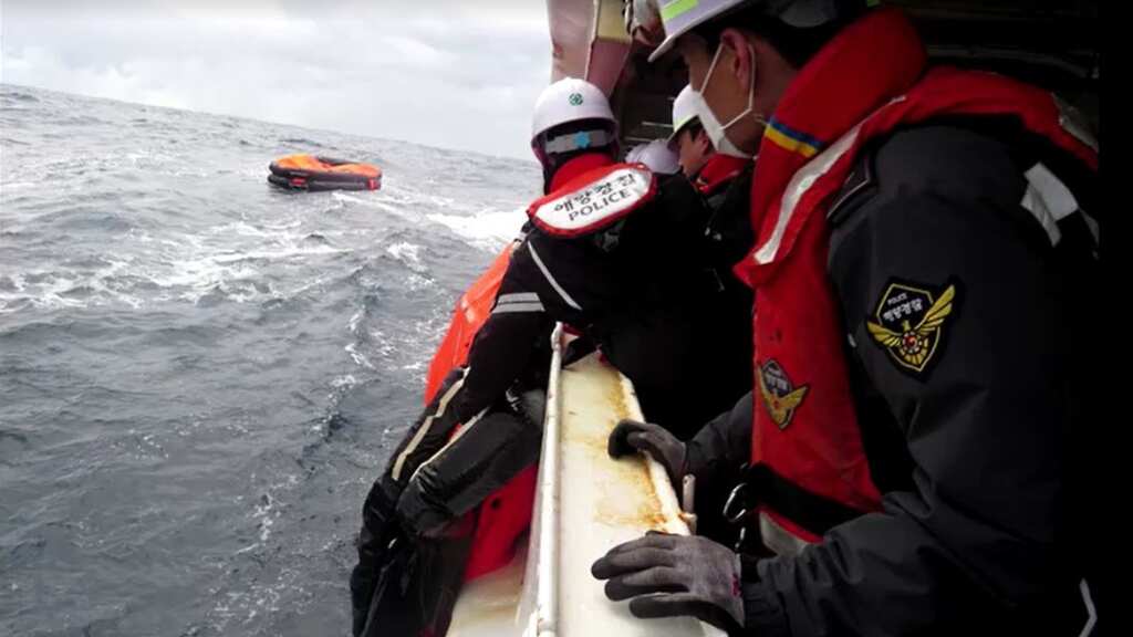 Cargo ship sinks between Japan, South Korea; two dead, nine still missing