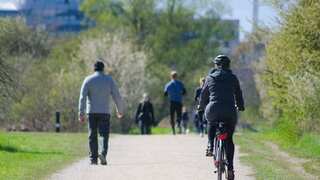 Physical exercise, social contact, cognitive activity can help reduce the risk of dementia: Study