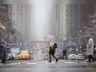 WION Climate Tracker: New York city witness snowless winters