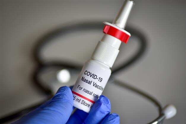 First made-in-India nasal vaccine unveiled, Health Minister Mansukh Mandaviya launches Incovacc
