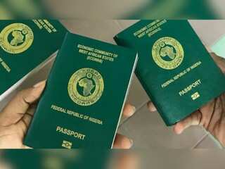 Federal Government of Nigeria: 159 Nigerians renounced their citizenships in 2022