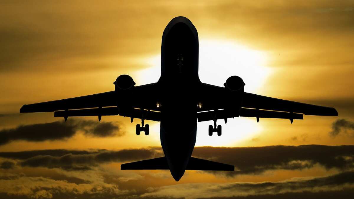 Nepal: Flight services halted at Tribhuvan Airport due to server issue, later restored Nepal: Flight services halted at Tribhuvan Airport due to server issue, later restored