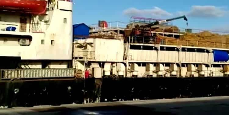 Spanish police seize 4,500 kg of cocaine worth $114 million from cattle ship