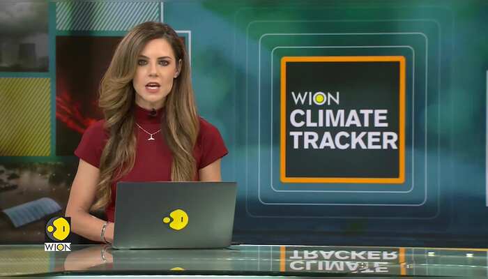 Animals at a Brazilian zoo cool off by licking ice lollies