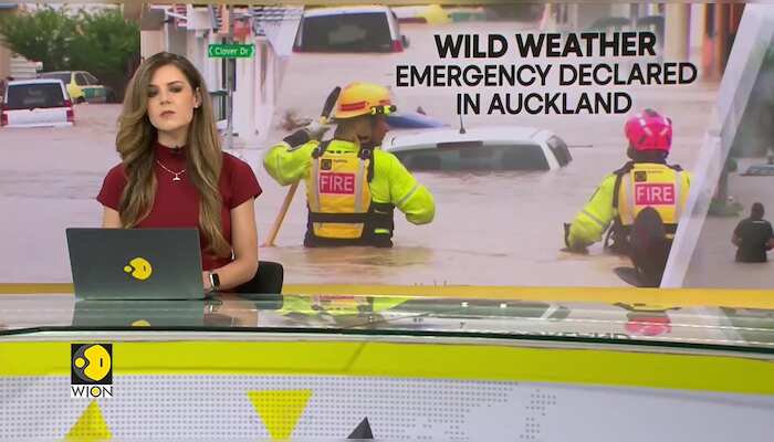 WionNews Video