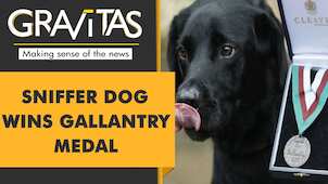 Gravitas: Dog honoured for sniffing out Taliban bombs