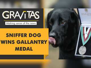 Gravitas: Dog honoured for sniffing out Taliban bombs