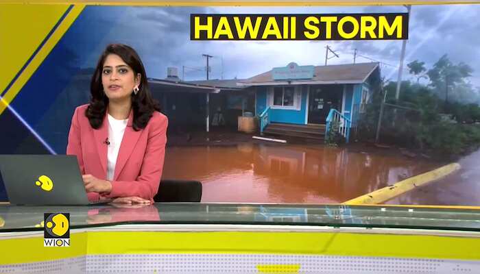 WionNews Video