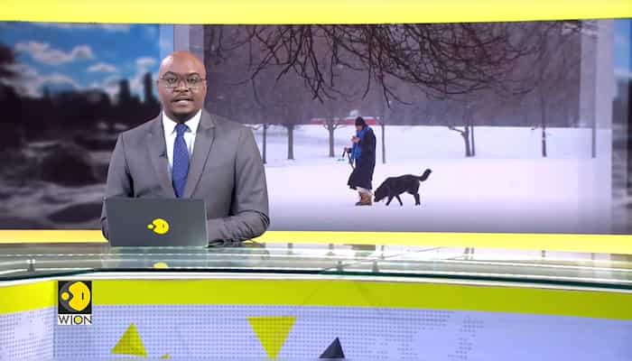 WionNews Video