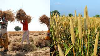 Budget 2023-24: India aims to promote agri-startups; raises farm credit target. Read details