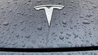 Tesla seeks to expand German factory to make it biggest in country
