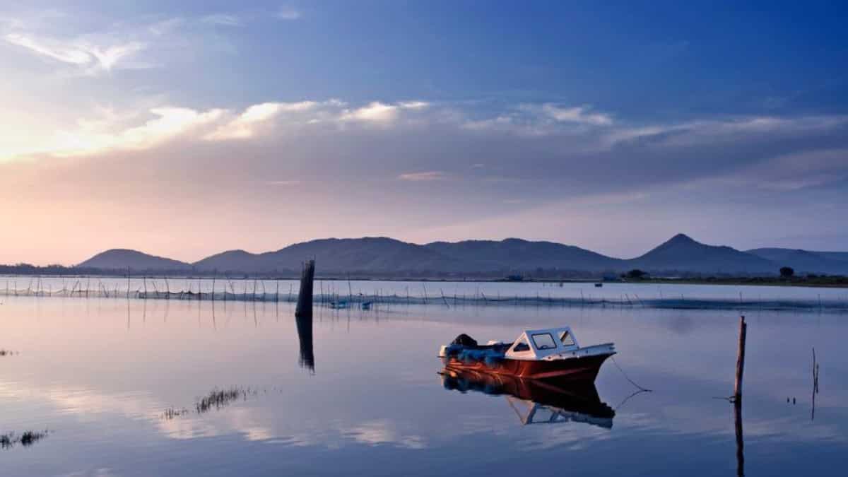 World Wetlands Day 2023: History, significance, theme, Ramsar sites and all you need to know