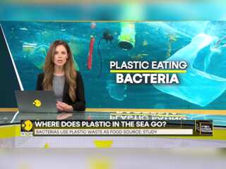 Bacteria use plastic waste as a food source | WION Climate Tracker |