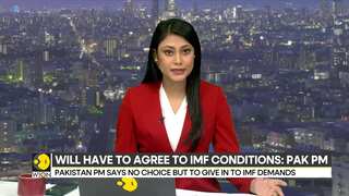 Pakistan ‘will have to agree’ to IMF’s bailout conditions though it will trigger price rise: PM Sharif