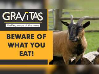 Gravitas | Mexico: Ex-chief served zoo goats to guests?