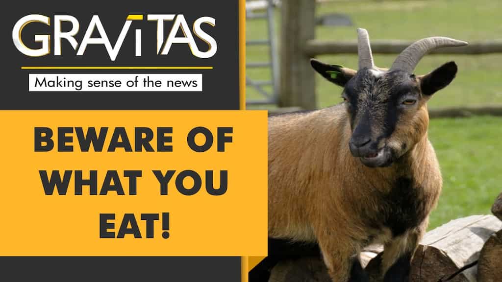 Gravitas | Mexico: Ex-chief served zoo goats to guests?
