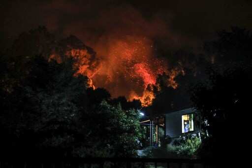 Chile: 23 dead in forest fires so far, govt declares state of disaster