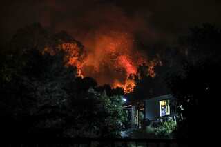 Chile: 23 dead in forest fires so far, govt declares state of disaster