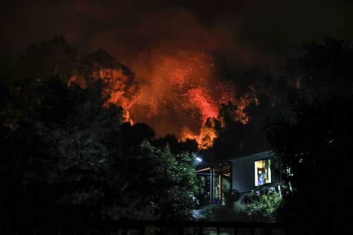 Chile: 23 dead in forest fires so far, govt declares state of disaster