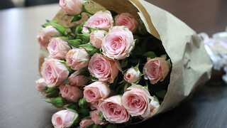 Why is February 7 important? Top 10 online shops to buy beautiful roses at cheapest cost in India